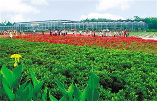 高質(zhì)量高品質(zhì)打造 六養(yǎng)圣地 潼南加快建設(shè)重慶新興知名旅游目的地