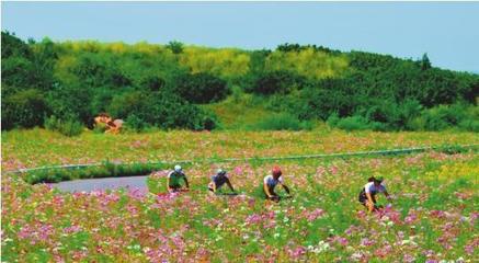 建設現代鋼都 打造秀美之城--鞍山市深入實施城市提升工程紀實