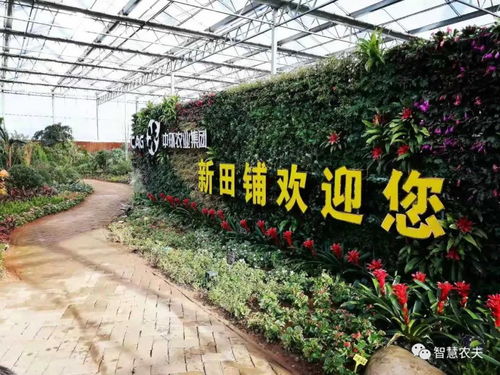 浙江新田鋪智慧農業蔬果工廠 正式投產運行