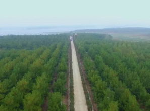 全椒加快現代農業發展,走三產融合之路