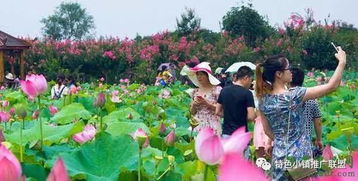 休閑農業總體規劃包括哪些要素