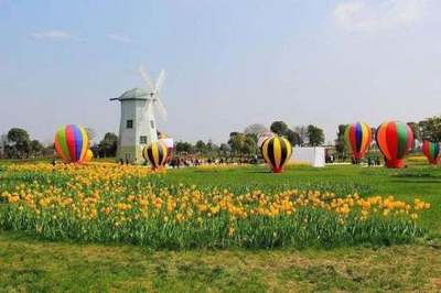 廣西現(xiàn)代特色農(nóng)業(yè)縣級(jí)示范區(qū)如何申報(bào)