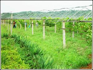 汾陽市賈家莊生態(tài)農(nóng)業(yè)園