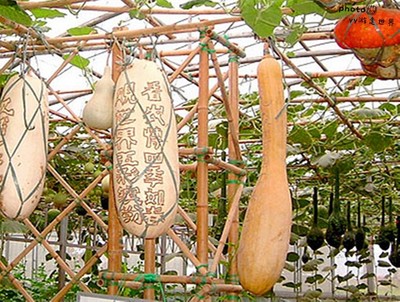 煙臺(tái)本地人告訴你開發(fā)區(qū)、福山區(qū)、牟平區(qū)有什么好玩