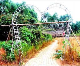 有吃有玩 帶你走進貴港這5個自治區休閑農業與鄉村旅游示范點