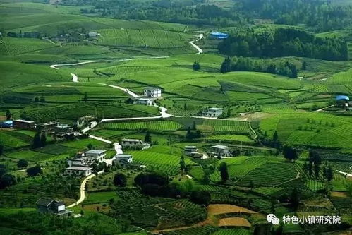 農村集體用地如何開發 3大類別6種方式