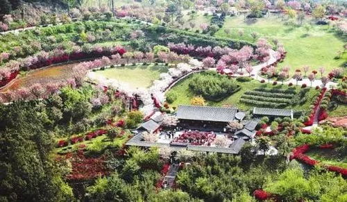 如何借 5 2 模式發展休閑農業和鄉村旅游