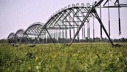 西部大開發(fā)10周年:設(shè)施農(nóng)業(yè)促內(nèi)蒙古成為&ldquo;天下糧倉(cāng)&rdquo;