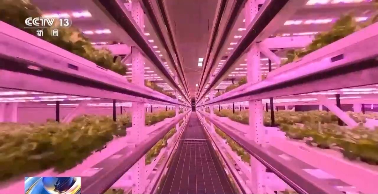 機(jī)器人養(yǎng)蛋雞、室內(nèi)蔬菜工廠&hellip;福建農(nóng)業(yè)上演&ldquo;科技大片&rdquo;