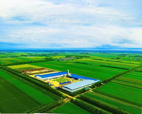 火爆俞敏洪直播間的北緯47度鮮玉米,藏著中國(guó)農(nóng)業(yè)發(fā)展的未來(lái)