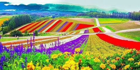 中國(guó)休閑農(nóng)業(yè)發(fā)展現(xiàn)狀、問(wèn)題與對(duì)策