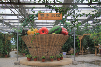 三十年鋪就&ldquo;三農&rdquo;致富路!石家莊農業(yè)綜合開發(fā)實施30周年成效顯著