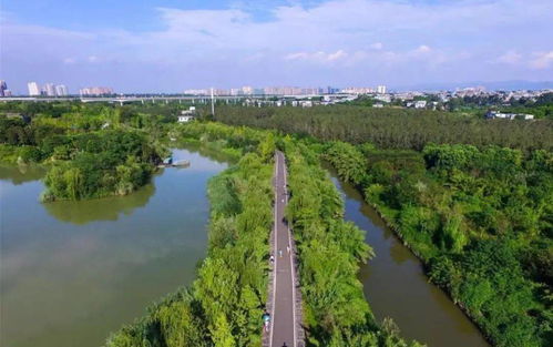 從近郊入鬧市,春天最美的模樣藏在錦江