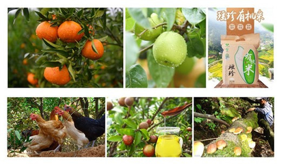 中南大學:電商+扶貧&ldquo;加&rdquo;出江華致富路