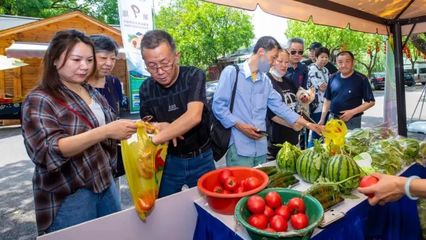夏陽街道:緊抓機遇打造市級樣板,政企攜手開啟致富之路丨強發展信心 筑實干同心