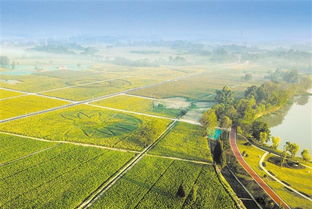 成都構建七大共享平臺 服務全省鄉村振興