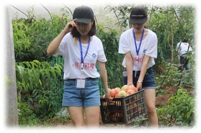 青春三下鄉|重慶工商大學商務策劃學院推動武隆電商發展,助力武隆扶貧開發