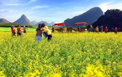 如何選址開(kāi)發(fā)休閑農(nóng)業(yè)?看鄉(xiāng)村旅游開(kāi)發(fā)的7大模式,29種類型