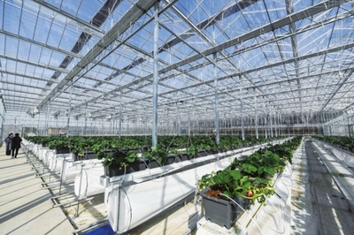 強(qiáng)化農(nóng)業(yè)農(nóng)村優(yōu)先發(fā)展投入保障