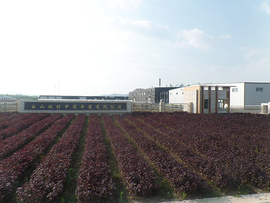 白山林村中藥開(kāi)發(fā)加工廠正式投產(chǎn)運(yùn)營(yíng)