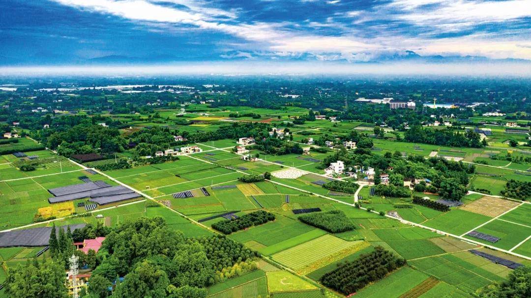 聯農帶農富農,助力鄉村振興 云南鹽津芭蕉村農業開發有限公.