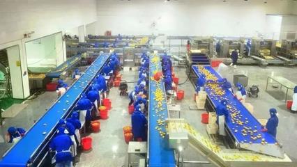 開局之年看經濟③ | 江淮&ldquo;豐&rdquo;景 &ldquo;皖&rdquo;美繪就