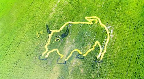 提振農(nóng)村消費再被提上日程, 專家 農(nóng)民有后顧之憂