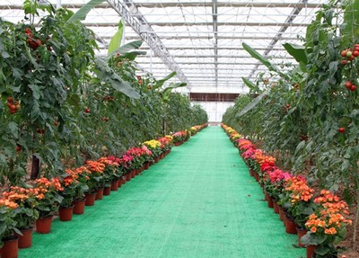 阿壩職業(yè)學(xué)院熱門專業(yè)簡介