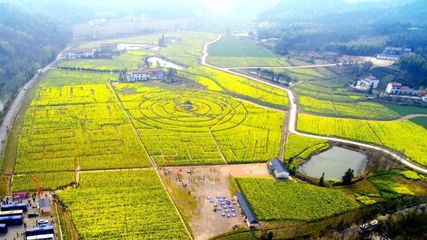 【特別關(guān)注】深耕兩年,六安這個區(qū)孕育出&ldquo;美麗經(jīng)濟&rdquo;