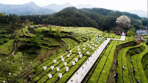 劉力 疫情對文旅行業(yè)發(fā)展帶來的改變