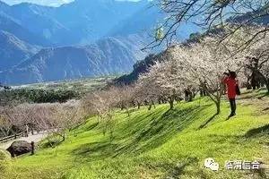 如何區(qū)分鄉(xiāng)村旅游和休閑農(nóng)業(yè)這兩個概念