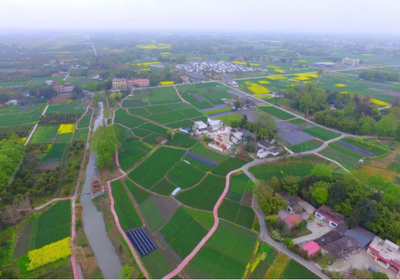 首屆 &ldquo;林盤農(nóng)耕文化系統(tǒng)&rdquo;保護與發(fā)展研討會召開