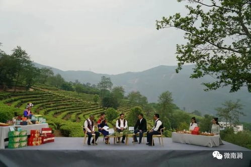 大理公郎鎮(zhèn)羅伯克茶園村 茶旅融合一 葉 致富