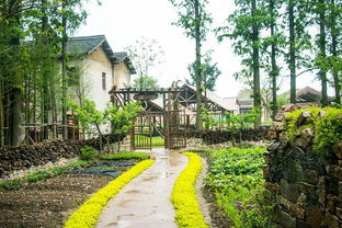 烏村 距離喧囂一步之遙,隱于鄉(xiāng)野,在我眼中卻剛剛好