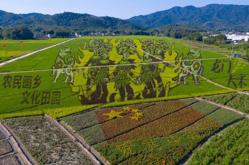 休閑農業與鄉村旅游融合發展 龍門多地榮獲省級示范殊榮