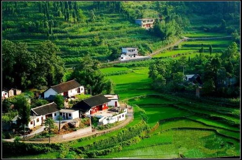 四個適合男人的偏門小本創(chuàng)業(yè)項目 農(nóng)業(yè)旅游開發(fā)的機遇