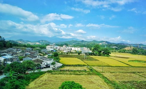 鄉(xiāng)村旅游開發(fā)中的市場區(qū)位選擇 策略與實踐