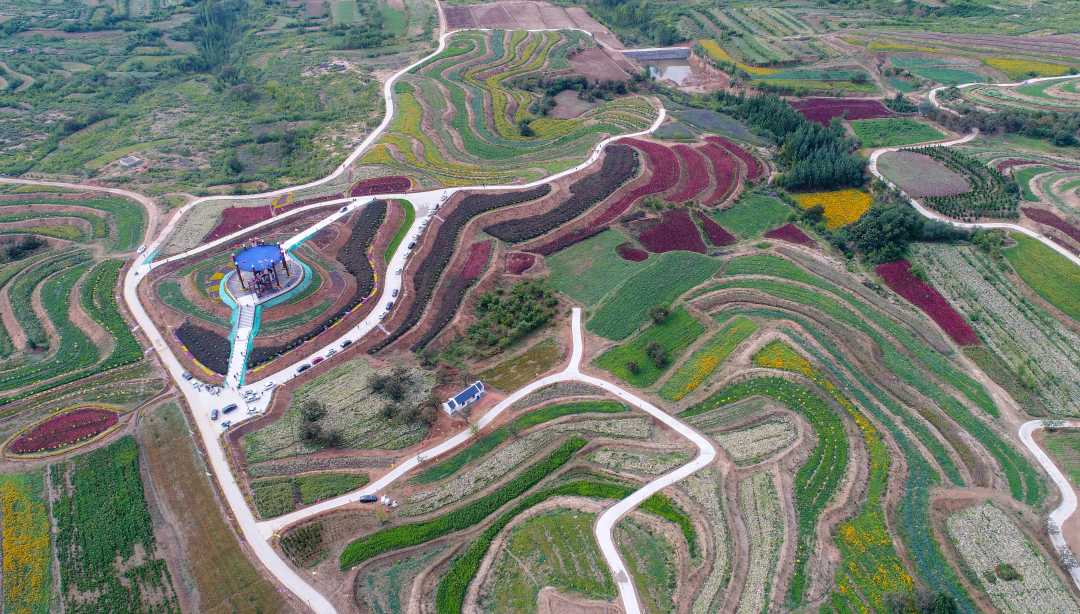 第六屆京津冀中藥材產(chǎn)業(yè)發(fā)展大會暨扁鵲文化節(jié)在河北內(nèi)丘啟幕，助推農(nóng)業(yè)旅游深度融合