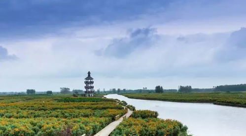 牛興化入圍全國休閑農(nóng)業(yè)和鄉(xiāng)村旅游綜合發(fā)展實力10強縣 農(nóng)業(yè)旅游開發(fā)的典范