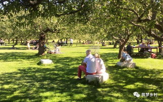 中國農(nóng)業(yè)旅游的發(fā)展歷程與盈利模式探析