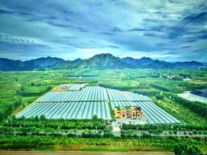 免費(fèi)門票任你領(lǐng)，天葡莊園采葡萄 農(nóng)業(yè)旅游開發(fā)的新篇章