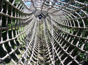 農(nóng)旅融合新畫卷 從游樂場(chǎng)到蜘蛛網(wǎng)的網(wǎng)格化探索