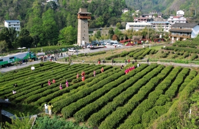 西八千鄉(xiāng)農(nóng)業(yè)旅游開(kāi)發(fā) 開(kāi)啟鄉(xiāng)村振興的嶄新篇章