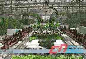 涼水生態(tài)農(nóng)業(yè)與旅游開(kāi)發(fā) 構(gòu)建綠色經(jīng)濟(jì)新典范