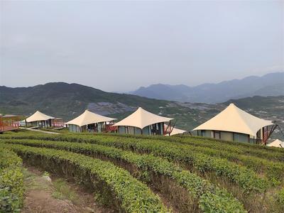 茶香引客來(lái)，文旅促振興——巖嶺村茶旅融合發(fā)展的實(shí)踐與啟示