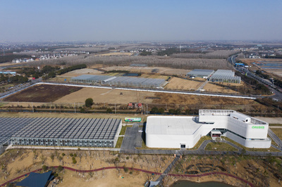 浙江平湖 現(xiàn)代“植物工廠”春意濃，科技農(nóng)業(yè)賦能鄉(xiāng)村旅游新篇章