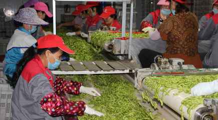 海南產(chǎn)業(yè)扶貧聚民心，農(nóng)旅融合繪就鄉(xiāng)村振興新畫卷